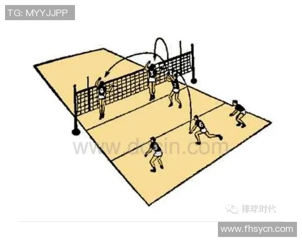 重庆排球队战术分析与提升策略探讨助力球队更上一层楼 重庆排球队战术分析与提升策略探讨助力球队更上一层楼